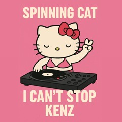 spinning cat x i cant stop-kenz