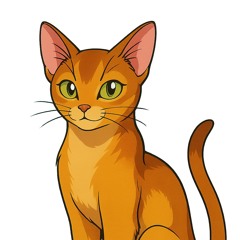 Abyssinian
