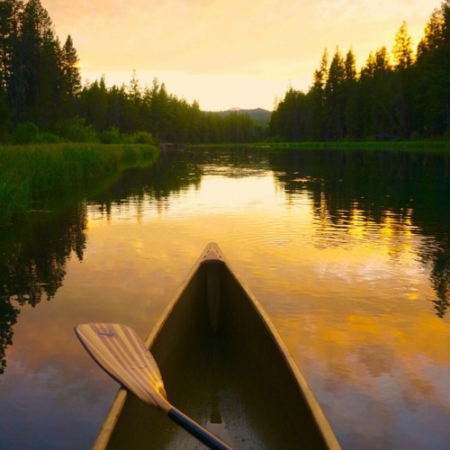 Stream episode Cyril Derreumaux on his epic paddle from CA to HI Ep 10