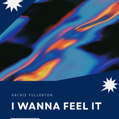 I Wanna Feel It
