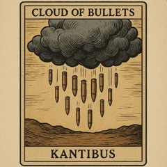 16 Cloud of Bullets (Flood 1)