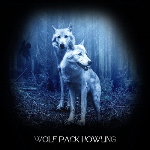 Stream Wolf Pack Howling by Nature Soundscape Listen online for free