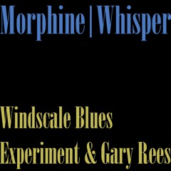 Whisper - Windscale Blues Experiment | Gary Rees (Morphine cover, 1995)