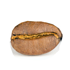 serene1-03o1-09s1-01s3o1-03s3-o10-1 NEWCLICK7