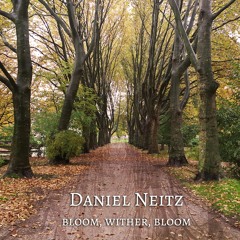 Daniel Neitz - A Second Spring