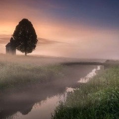 Perhaps One Morning ... [Michele Ansani - David Dunham] **