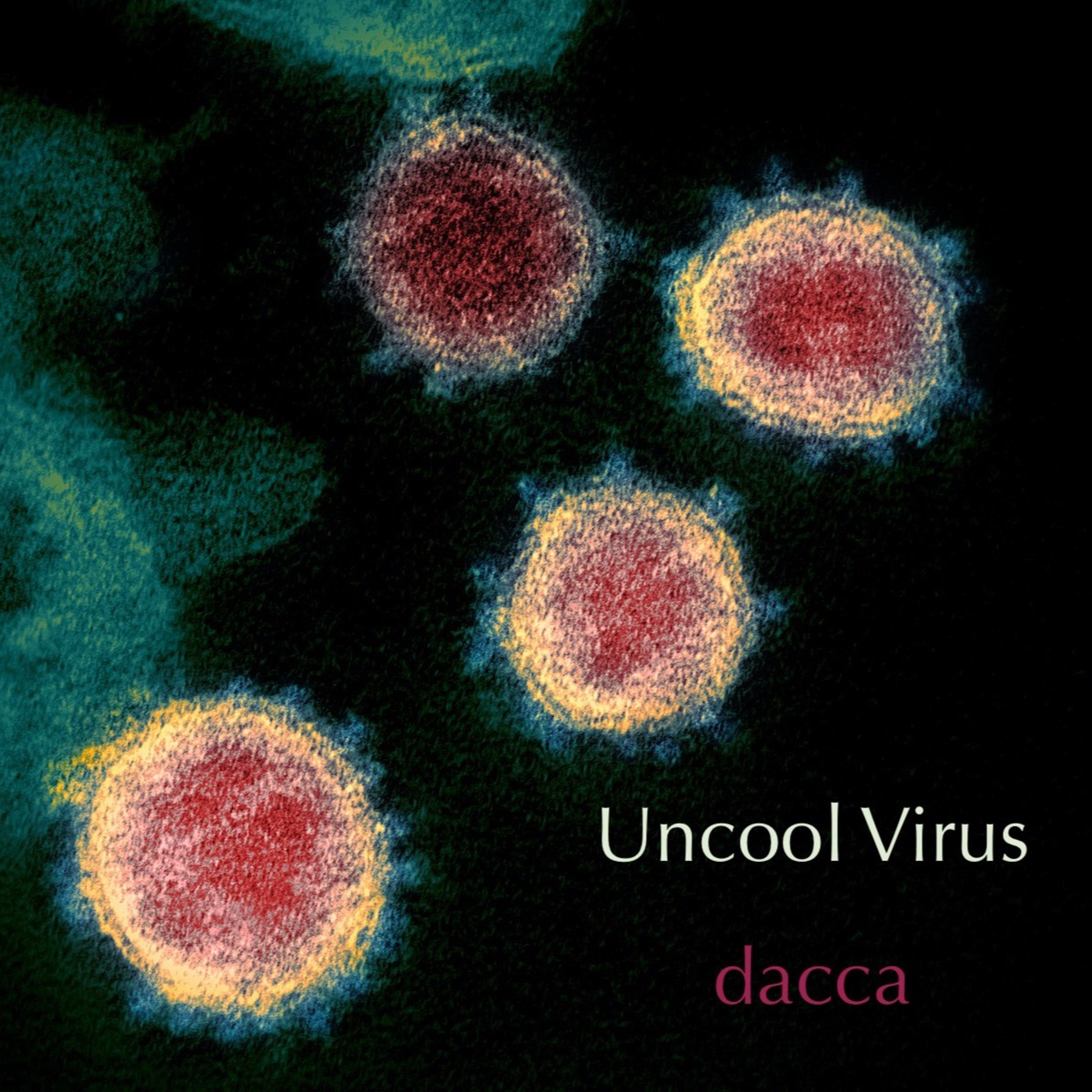 dacca