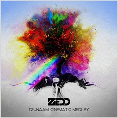 ZEDD CINEMATIC MEDLEY (with "Turning Page" by Sleeping at Last)