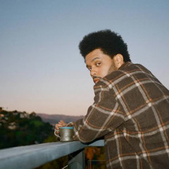 The Weeknd & Mike Dean - DEFAME MOI (TWA Remix)