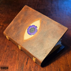 Observer Effect (feat. Paranoah & theworstperson)