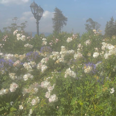 タロット-tarrot -03.kazeniyosete