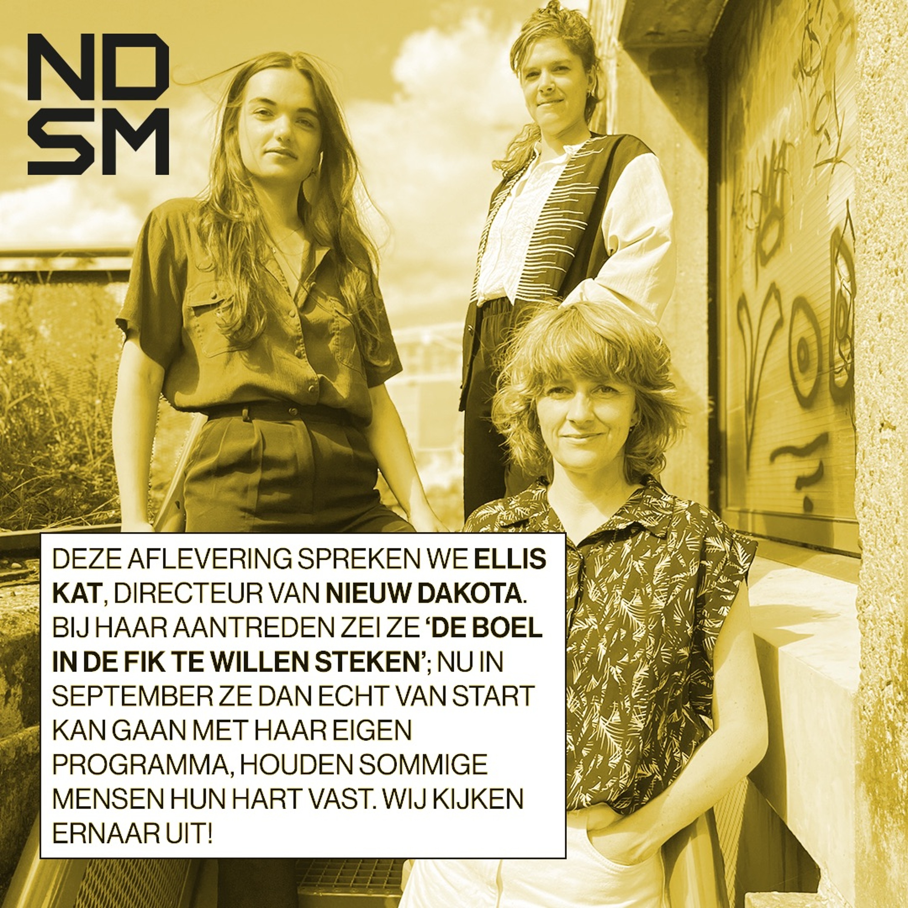 NDSM X