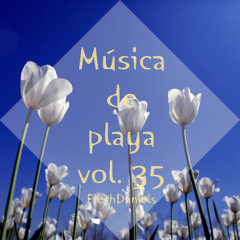 Música de playa vol.35