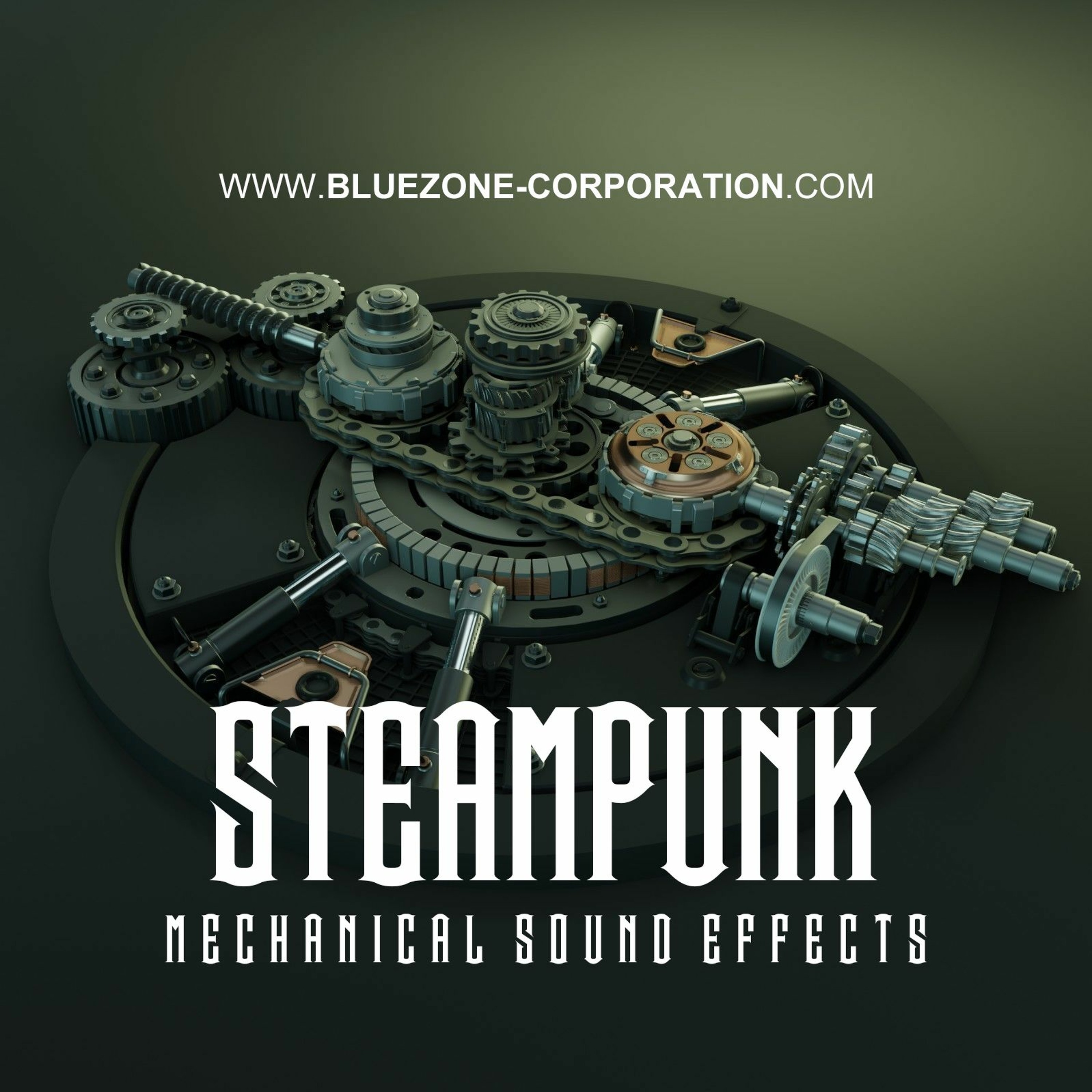 Bluezone Corporation