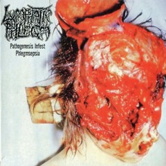 Lymphatic Phlegm - Pathogenesis Infest Phlegmsepsia (FULL ALBUM) 2002