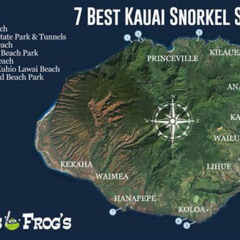 Best Which Side Of Kauai Is For Snorkeling Prices Reviews