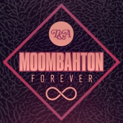 Mixtape | Moombahton Mix | DJ TiTom