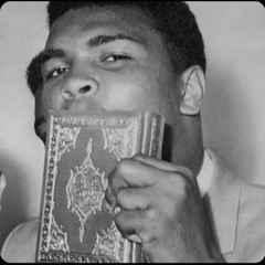 STE MILANO x TAZEBOY x LYNX~PETIT BEAU