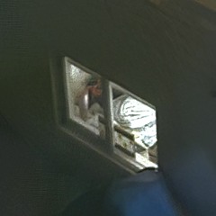 please help me im dying