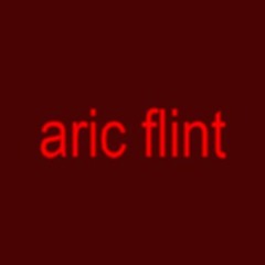 aric flint