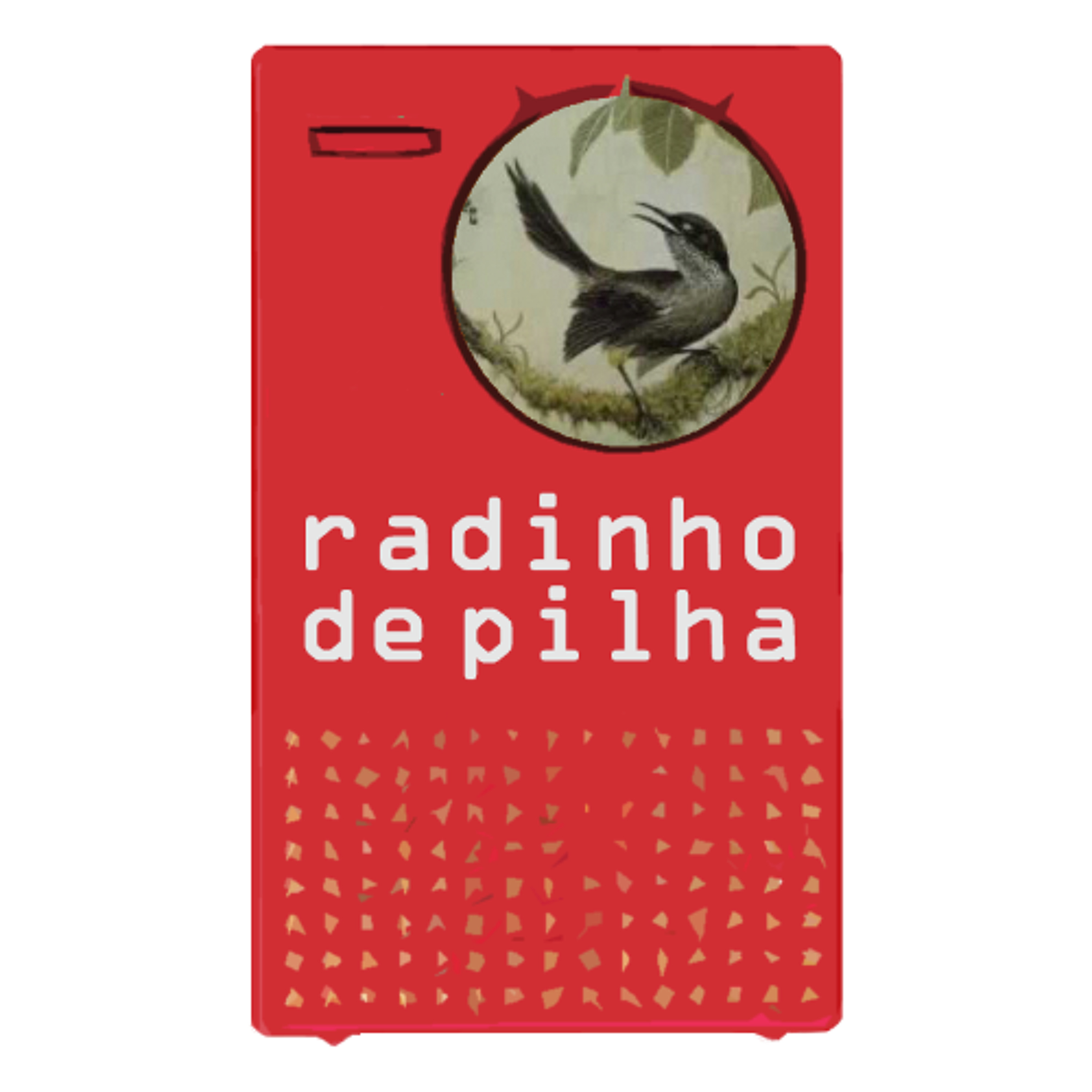 meus podcasts reunidos