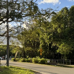 Were New to Love (demo)