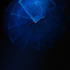 °°°🕳🕳🕳°°°