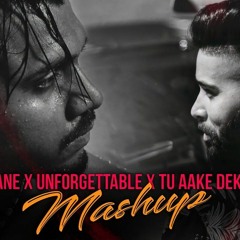 Insane X Unforgettable X Tu Aake Dekhle DJ Shadow