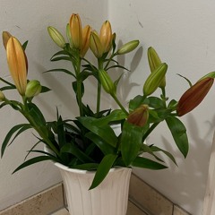 Stimmimg- Keys Don‘t Match (HAOBI Remix)