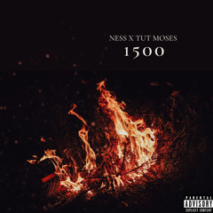 NESS X TUT MOSES - 1500