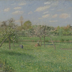 AM_F_Avila_Murillo_Soft Spring