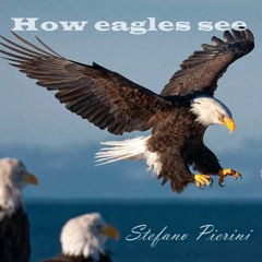 Eagle's song