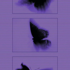 LURE.
