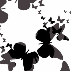 Butterfly Shadow (naviarhaiku532)