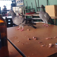 kaldırımda yatmakla gitmek arası