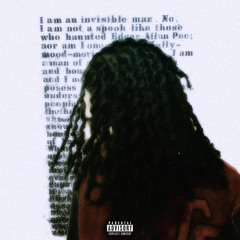 NARRATIVE (PRIMEGOKRAZY)