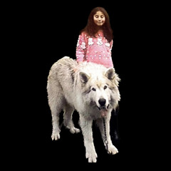 biggieWALLACE demo