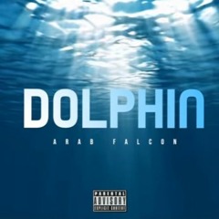 Arab Falcon Dolphin (Official Audio) صقر العرب دولفين