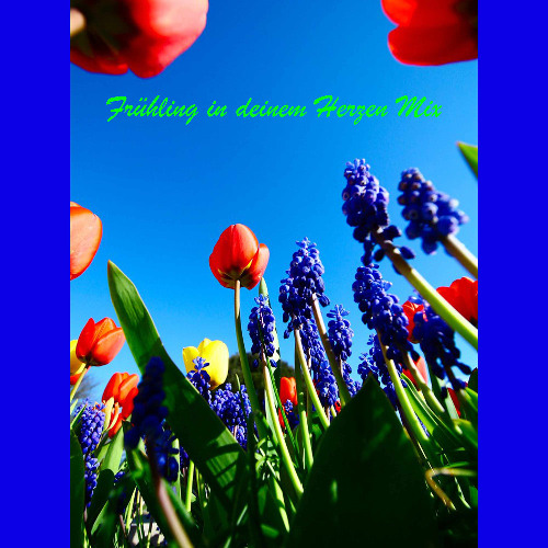 Frühling in deinem Herzen Mix