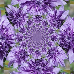 spring mix