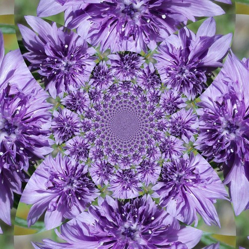 spring mix