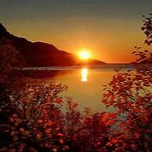The New Sun