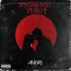 SENTIMENTO PURO DJ ANDRI MIX