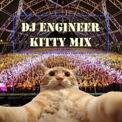 Kitty Mix
