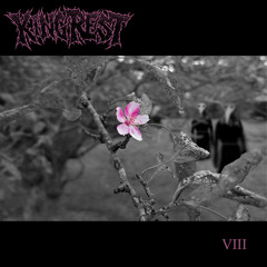 King Rest - Placeholder