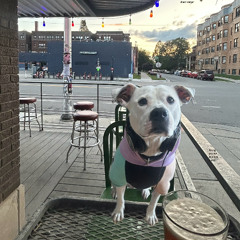 taking you out to a nice dinner