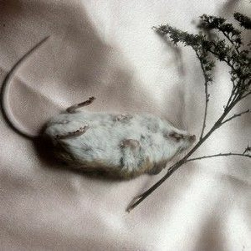 Cryspell - Sid and Nancy
