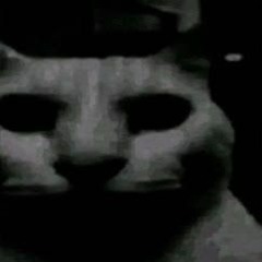 Riddim from the kitchen sink