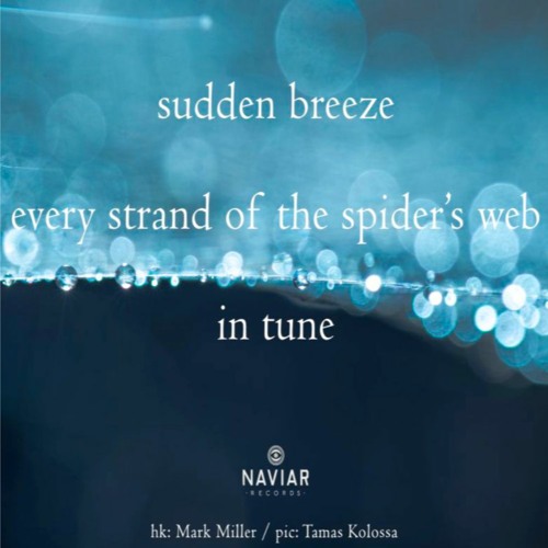 every strand of the spider's web in tune