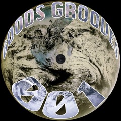 GOODS GROOVES 001